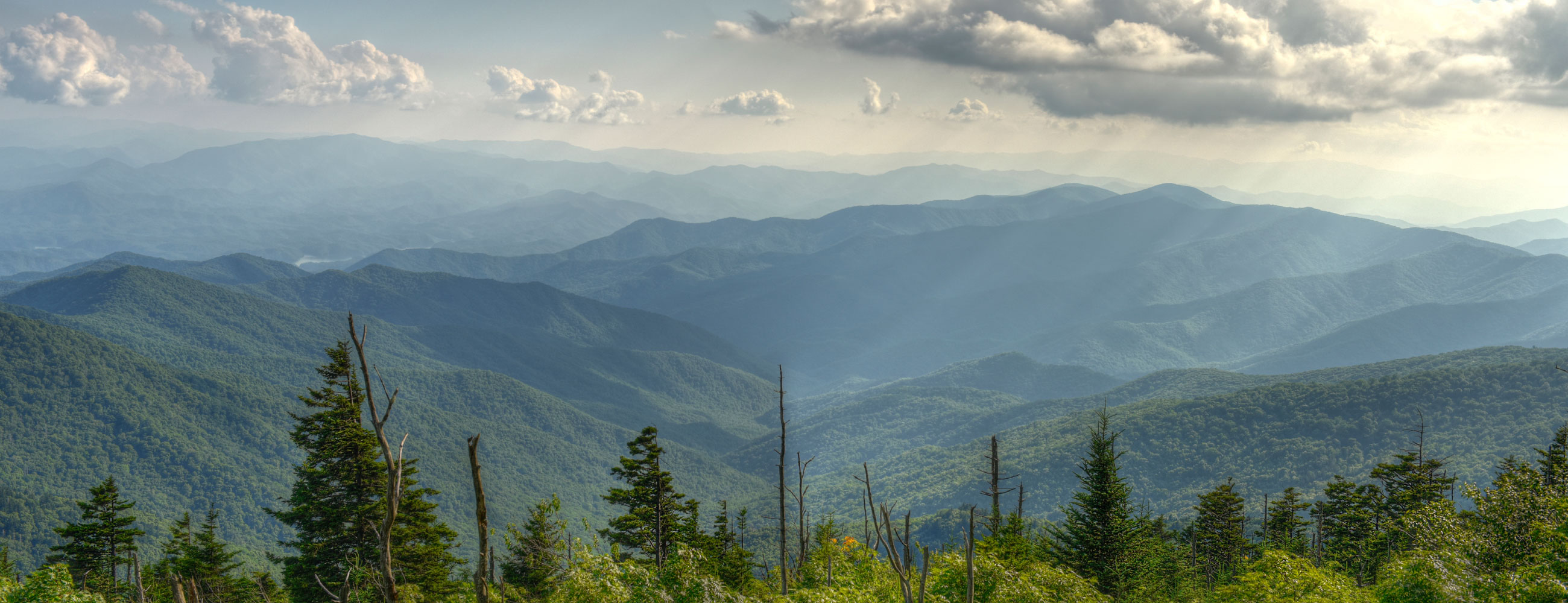 Qasim Ali